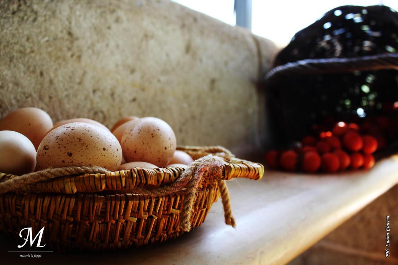 Masseria La Foggia Фазано Екстериор снимка