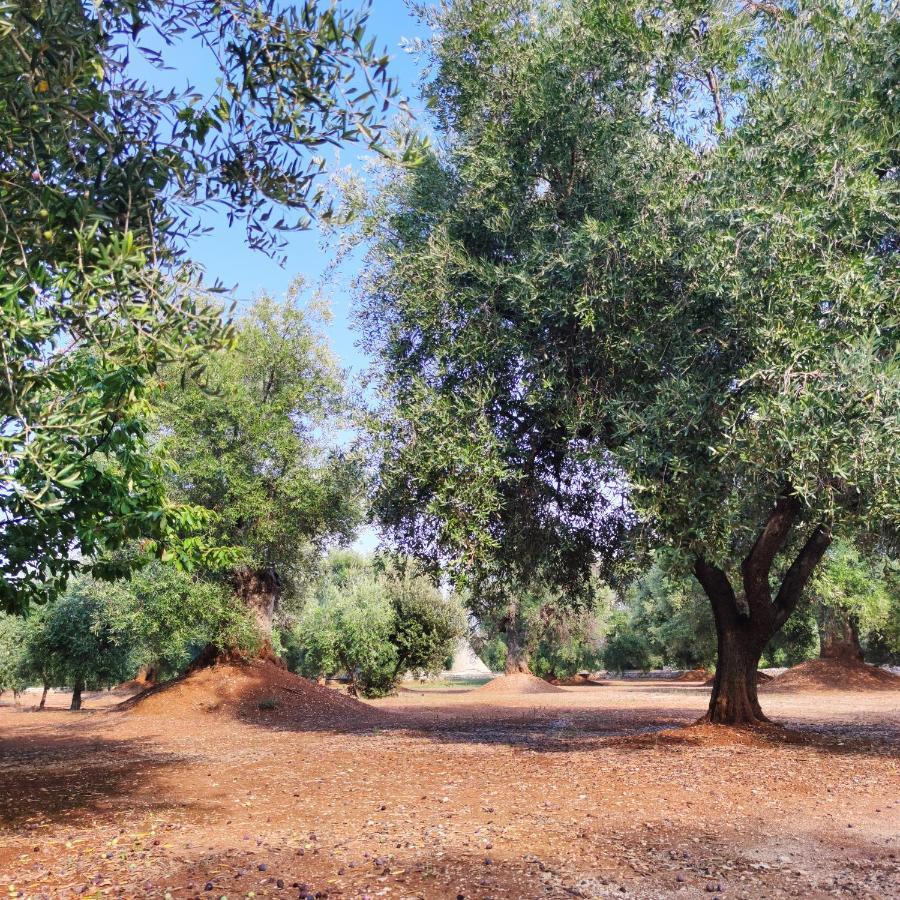 Masseria La Foggia Фазано Екстериор снимка